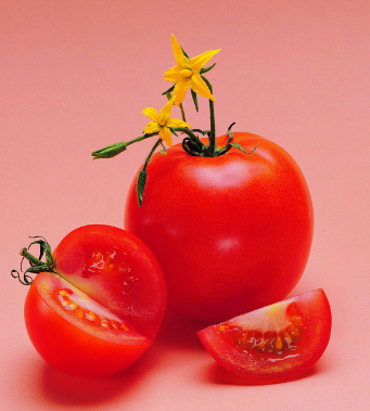 如何提高精子質量 男人的養(yǎng)精食物