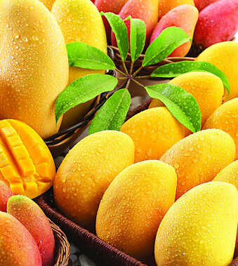 芒果的功效與作用 女性多吃芒果可防乳腺癌