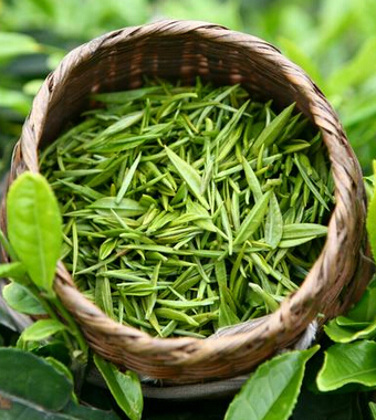 懷孕吃什么好 哪些食物有利母子健康