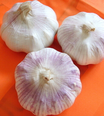 吃什么食物補腎壯陽 10種日常廉價補腎食物