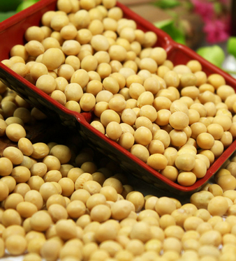 性愛故事 適度的性生活有益健康