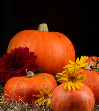 南瓜的吃法 吃南瓜要謹(jǐn)記6大忌