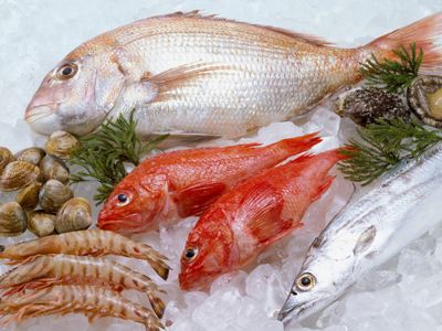 容易引起過敏的海鮮 海鮮過敏怎么辦