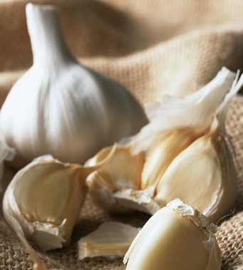 芥藍營養(yǎng)價值 常吃芥藍影響性功能