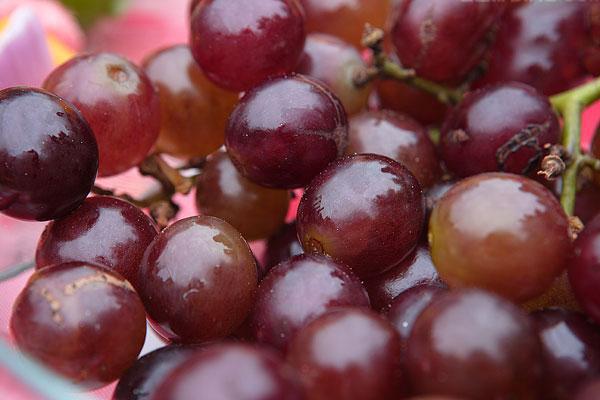 葡萄營養(yǎng)價值高 孕婦吃葡萄好嗎