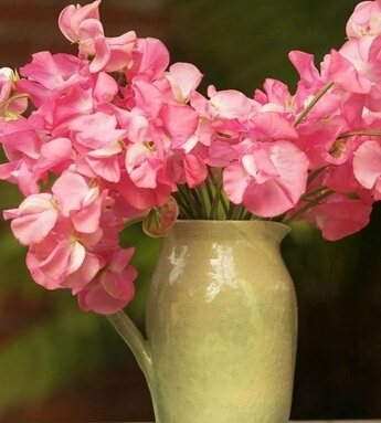 極品桃花運(yùn) 催旺你桃花運(yùn)的小物件