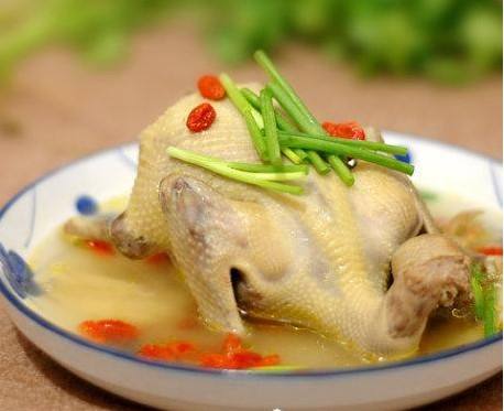 老少皆宜的補品 鴿子的營養(yǎng)價值