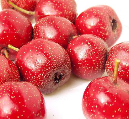 孕婦能吃山楂嗎以及吃山楂的危害是什么