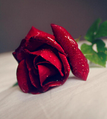 氣血不足如何調(diào)理 4類食物女人應(yīng)多吃