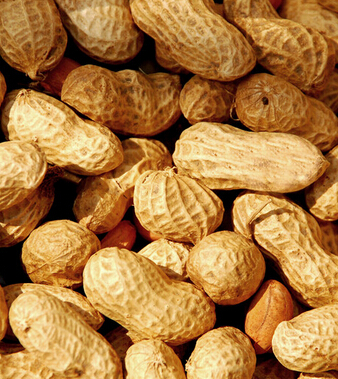 飲食與健康 9種人吃花生小心會(huì)喪命