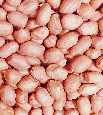 飲食與健康 9種人吃花生小心會(huì)喪命