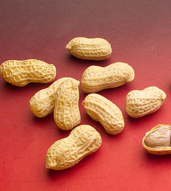 飲食與健康 9種人吃花生小心會(huì)喪命