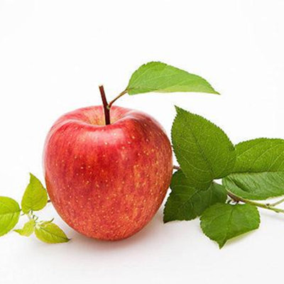 晚上吃水果好嗎  適合晚上吃的水果