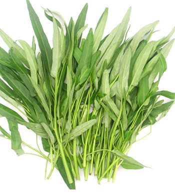 空心菜有什么功效與作用 如何挑選新鮮空心菜