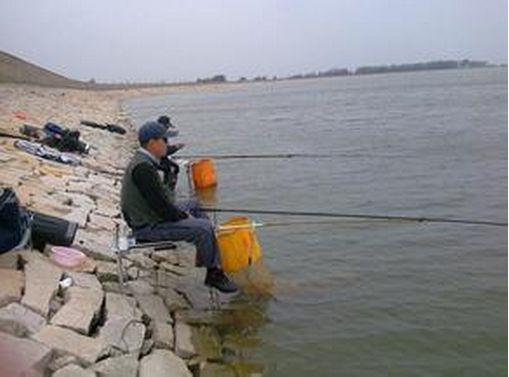 一鉤必中之水庫釣魚技巧