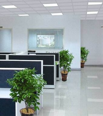 風(fēng)水學(xué) 有助于升職的辦公室風(fēng)水?dāng)[設(shè)