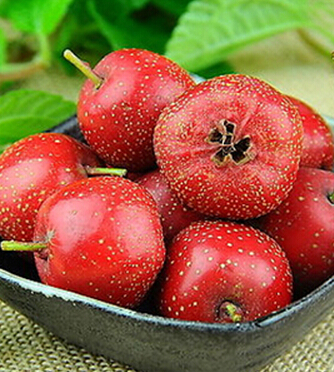 氣血不足如何調(diào)理 4類食物女人應(yīng)多吃