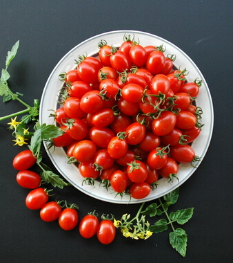 圣女果的營養(yǎng)價(jià)值 小小圣女果大作用