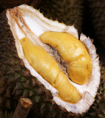 榴蓮的功效與作用 活血散寒助你遠(yuǎn)離痛經(jīng)困擾