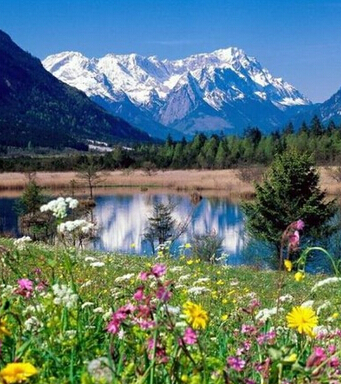 風(fēng)水知識 風(fēng)水學(xué)的三大原則