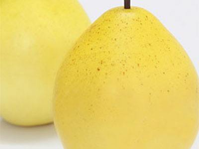 肌膚就要補(bǔ)水，什么補(bǔ)水效果好呢？