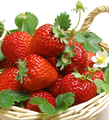 草莓的營(yíng)養(yǎng)價(jià)值和作用有哪些 草莓八作用