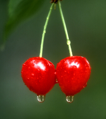 吃櫻桃的好處 可增強(qiáng)免疫力養(yǎng)顏駐容潤(rùn)膚