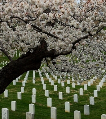 墳?zāi)癸L(fēng)水 墓室風(fēng)水的十大禁忌