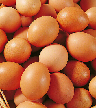 男人腎虛吃什么好 8食物男人補(bǔ)腎勝偉哥