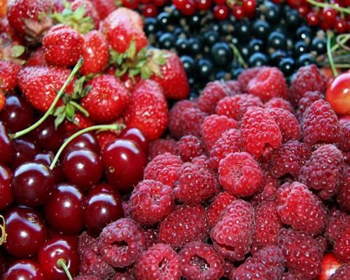 怎樣減肥又快又健康 這8個(gè)絕招幫你做到