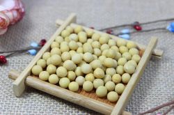 黃豆的吃法大全 黃豆的營養(yǎng)價值有哪些