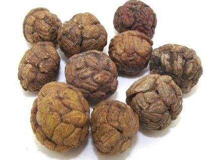 豆蔻是什么 豆蔻藥理作用及生活應(yīng)用介紹