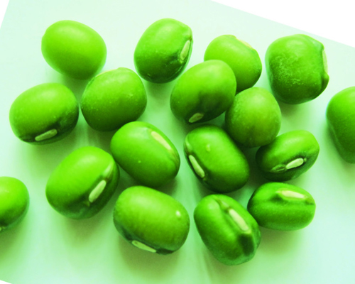 狗肉不能和什么一起吃，這點(diǎn)不容小視