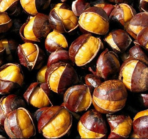 滋補(bǔ)佳品 板栗的功效和營養(yǎng)價(jià)值介紹