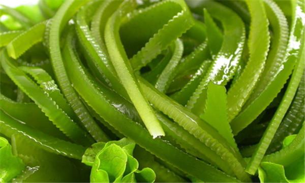 海帶的營(yíng)養(yǎng)價(jià)值 別把海帶當(dāng)主食吃