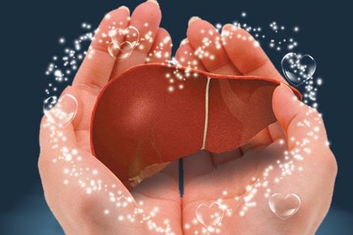 預防肝癌 生活飲食中四吃四不吃