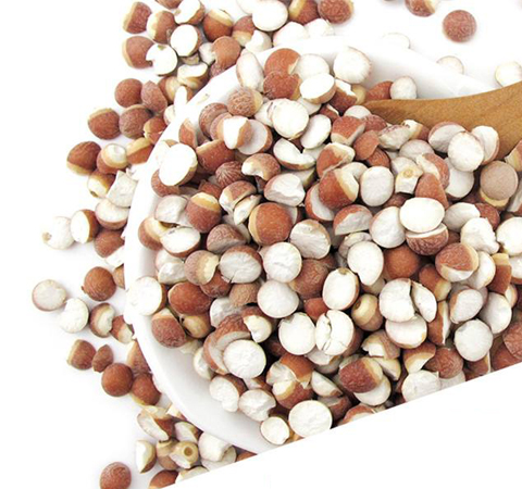 清心除熱 雞頭米的營(yíng)養(yǎng)價(jià)值及功效介紹