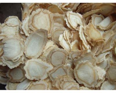 西洋參泡水喝的功效，全方位為你分析