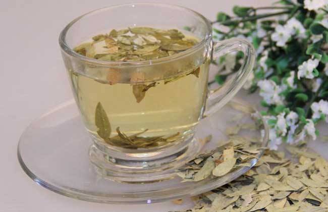 多功能的番瀉葉 番瀉葉的作用和功效