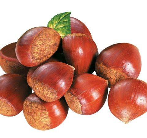 滋補(bǔ)佳品 板栗的功效和營養(yǎng)價(jià)值介紹