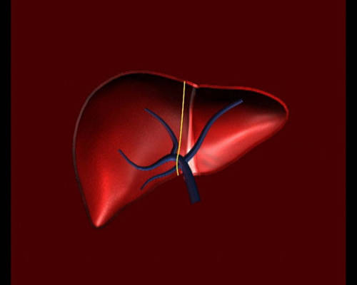 馬錢子的功效與作用，全方位為你分析