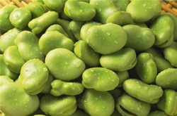 利濕消腫 蠶豆的功效與作用及吃法介紹