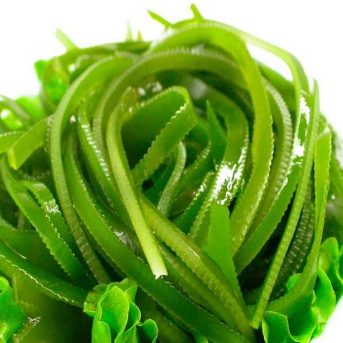 海帶的營(yíng)養(yǎng)價(jià)值 別把海帶當(dāng)主食吃