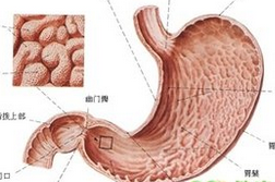 十二指腸炎的癥狀  表現(xiàn)有疼痛癥狀