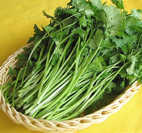 利尿健腎 香菜的功效與作用及吃法介紹