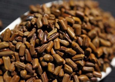 小小顆粒決明子的功效與作用及食用方法詳解