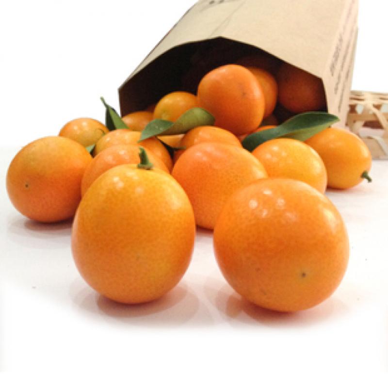 金橘是什么與金橘的功效與作用