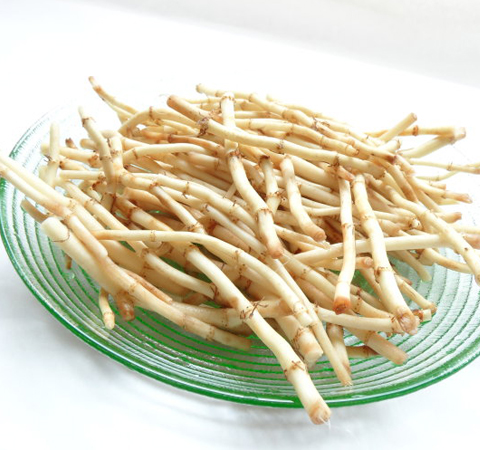 清熱解毒 魚(yú)腥草的副作用和功效介紹