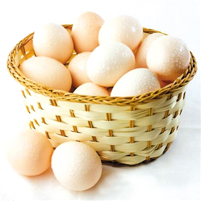 雞蛋殼有什么用處  你懂得多少