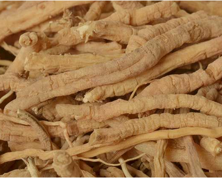 遠(yuǎn)志的作用與功效及其食療方法